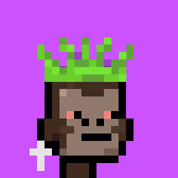 4204