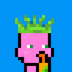 Junior Punks #2535