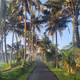 Bali Beauty V4