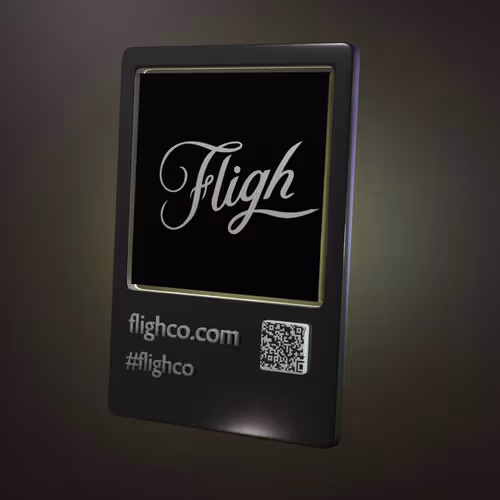 Fligh Pass NFT #4/69