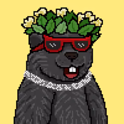Marmot #285
