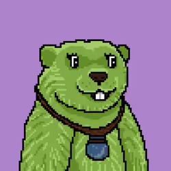 Marmot #1984