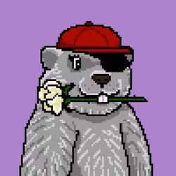 Marmot #283
