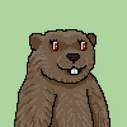 Marmot #282