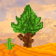 314