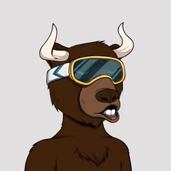 Bull Bears #2583