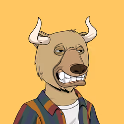 Bull Bears #1679