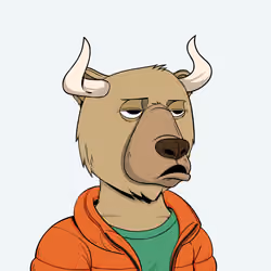 Bull Bears #1594