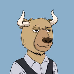 Bull Bears #2407