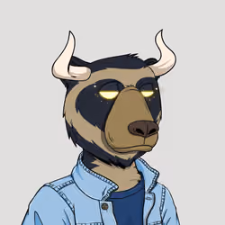 Bull Bears #696