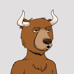 Bull Bears #123