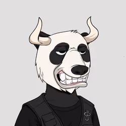 Bull Bears #1046