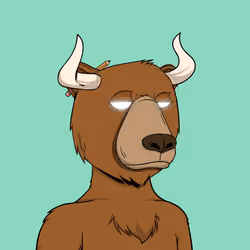 Bull Bears #2904