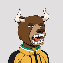 Bull Bears #3407