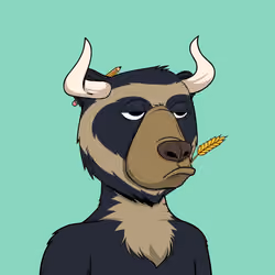 Bull Bears #767