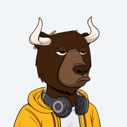 Bull Bears #2560