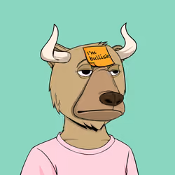 Bull Bears #345