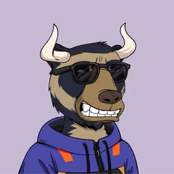 Bull Bears #1682