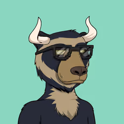 Bull Bears #2914