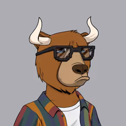 Bull Bears #51