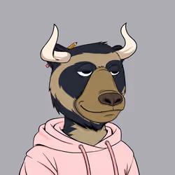 Bull Bears #1042