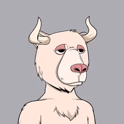 Bull Bears #3265