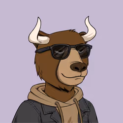 Bull Bears #2343