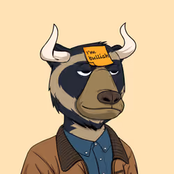 Bull Bears #1691
