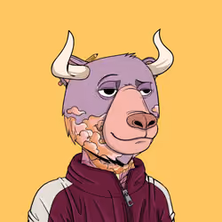 Bull Bears #993