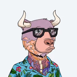 Bull Bears #3555