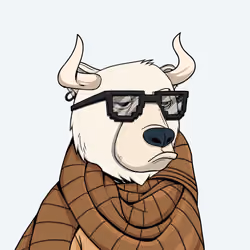 Bull Bears #1455