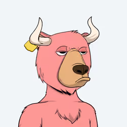 Bull Bears #52