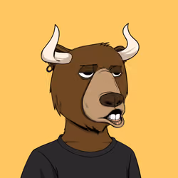 Bull Bears #2300