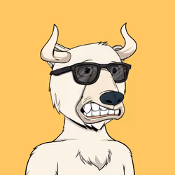Bull Bears #590