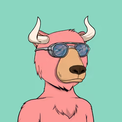 Bull Bears #1360