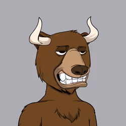 Bull Bears #2010