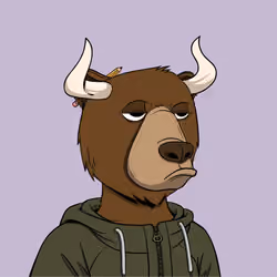 Bull Bears #2132