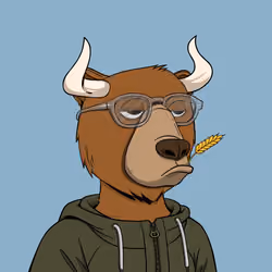 Bull Bears #1013