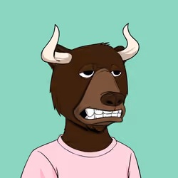 Bull Bears #1123