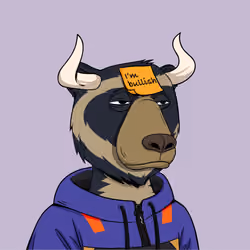 Bull Bears #2276