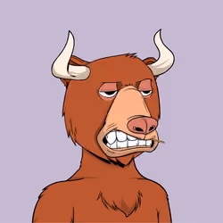 Bull Bears #700