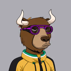 Bull Bears #2009