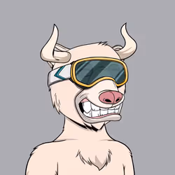 Bull Bears #2346