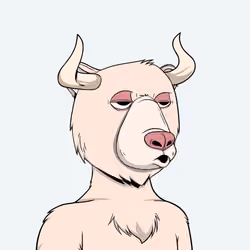 Bull Bears #2133