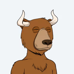 Bull Bears #704