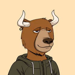 Bull Bears #990
