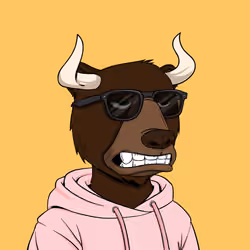 Bull Bears #1625