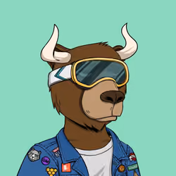 Bull Bears #995