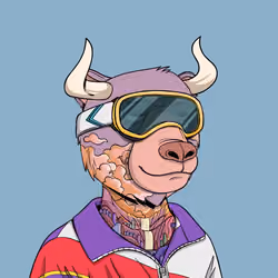 Bull Bears #427