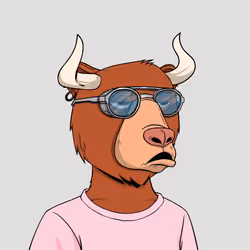Bull Bears #1595
